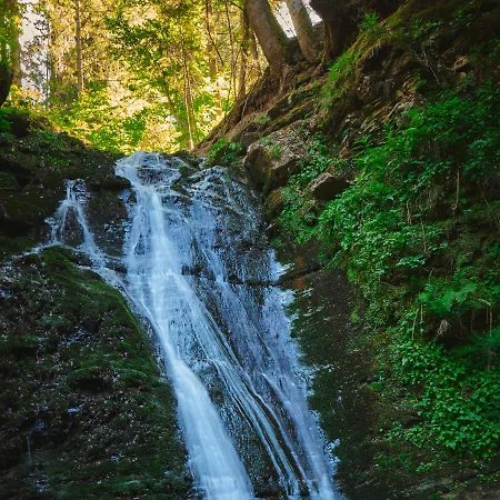 샬레 лісова *