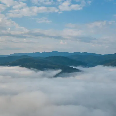 лісова Podgorodtsy