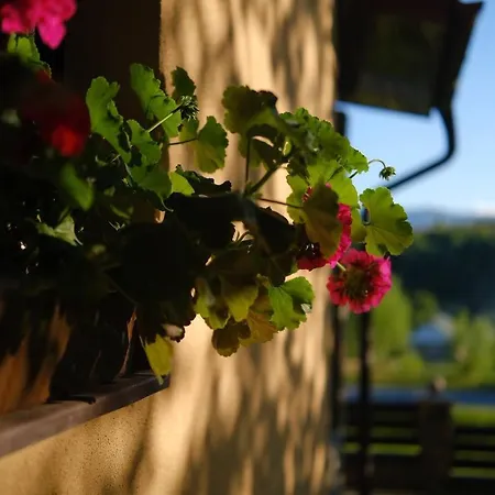 лісова Podgorodtsy