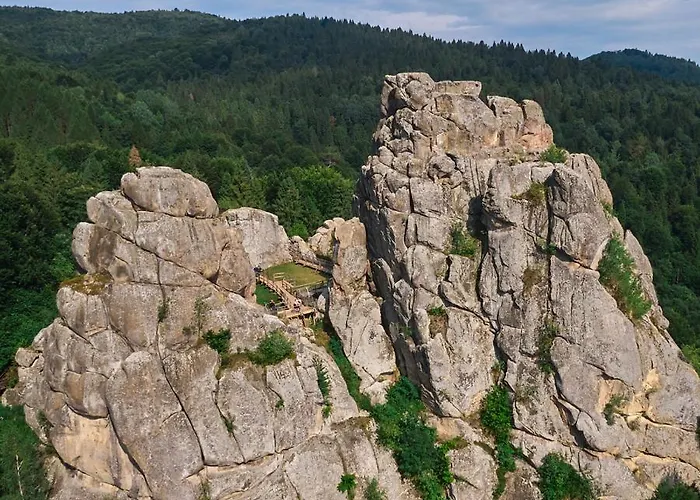 лісова Podgorodtsy